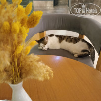 фото из отзыва ID 2740194