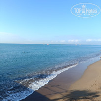 фото из отзыва ID 2741369