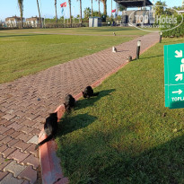 фото из отзыва ID 2741369