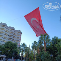 фото из отзыва ID 2741369