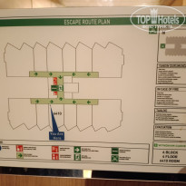 фото из отзыва ID 2741369