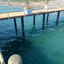 фото из отзыва ID 2741369