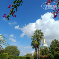 фото из отзыва ID 2741369