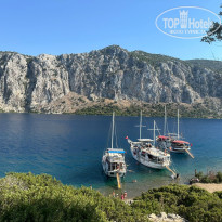 фото из отзыва ID 2741380