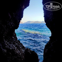 фото из отзыва ID 2741380