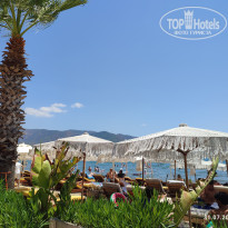 фото из отзыва ID 2741380