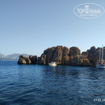 фото из отзыва ID 2741380