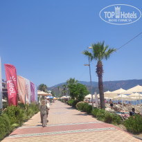 фото из отзыва ID 2741380