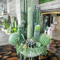 фото из отзыва ID 2740278