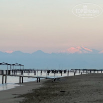 фото из отзыва ID 2741408