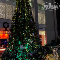 фото из отзыва ID 2741408