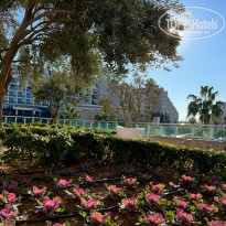 фото из отзыва ID 2741408