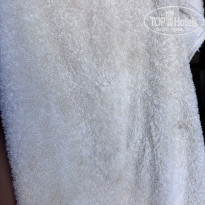 фото из отзыва ID 2741409