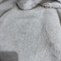 фото из отзыва ID 2741409