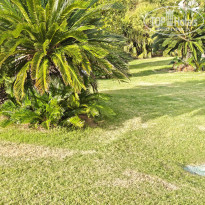 фото из отзыва ID 2741426