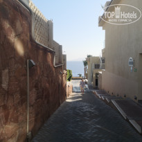 фото из отзыва ID 2741433