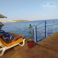 фото из отзыва ID 2741433