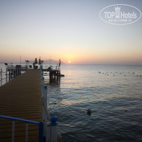 фото из отзыва ID 2741433