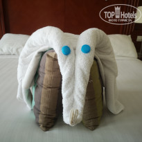 фото из отзыва ID 2741433