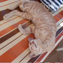 фото из отзыва ID 2741451