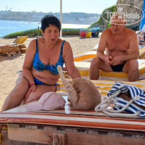 фото из отзыва ID 2741451