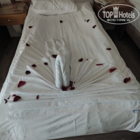 фото из отзыва ID 2741465