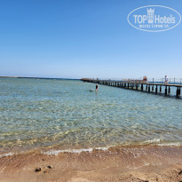 фото из отзыва ID 2741472