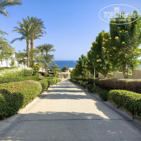 фото из отзыва ID 2741469