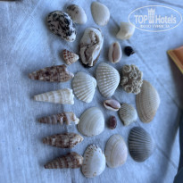 фото из отзыва ID 2741478