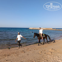 фото из отзыва ID 2741481