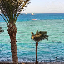 фото из отзыва ID 2741485