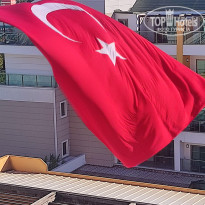 фото из отзыва ID 2741517