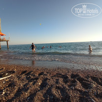 фото из отзыва ID 2741517