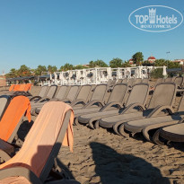 фото из отзыва ID 2741517