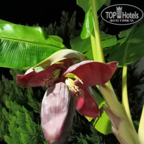 фото из отзыва ID 2741517