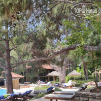 фото из отзыва ID 2741538