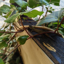 фото из отзыва ID 2741538