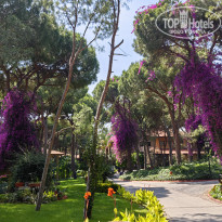 фото из отзыва ID 2741538