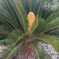 фото из отзыва ID 2741538