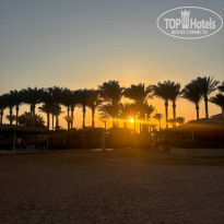 фото из отзыва ID 2741548