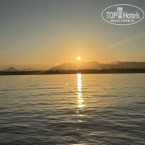 фото из отзыва ID 2741548