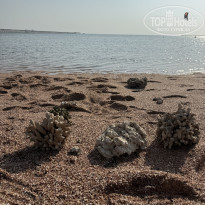 фото из отзыва ID 2741548