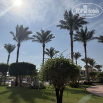 фото из отзыва ID 2741548