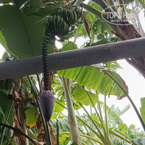 фото из отзыва ID 2741568