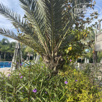 фото из отзыва ID 2741568