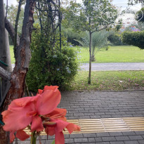 фото из отзыва ID 2741568