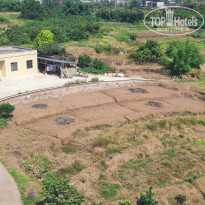 фото из отзыва ID 2741594