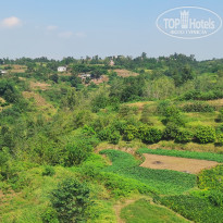 фото из отзыва ID 2741594