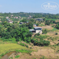 фото из отзыва ID 2741594