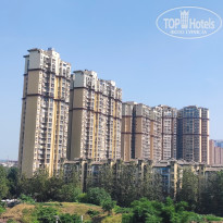 фото из отзыва ID 2741594